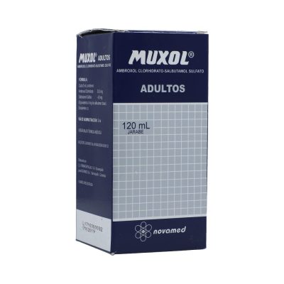 MUXOL ADULTOS (30+4)MG/5ML(0.6+0.08)% JBE FCO X 120ML